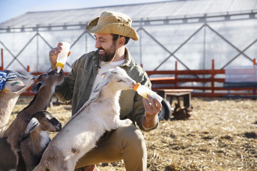 راهنمای جامع خرید و فروش دام زنده